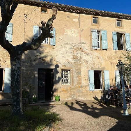 Les 3 Platanes Acomodação com café da manhã Conilhac-Corbières Exterior foto